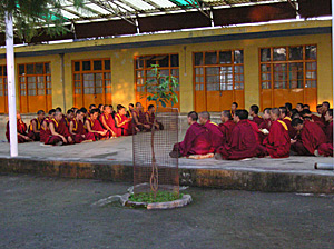 buddhistische mönche